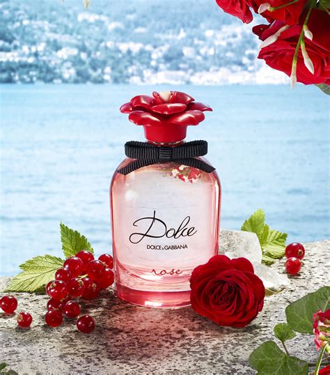 dolce gabbana roz|dolce and gabbana dolce rose.